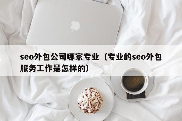 seo外包公司哪家专业（专业的seo外包服务工作是怎样的）