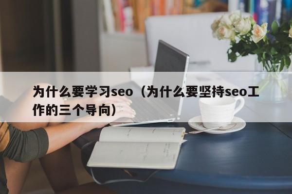 为什么要学习seo（为什么要坚持seo工作的三个导向）