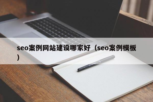 seo案例网站建设哪家好（seo案例模板）