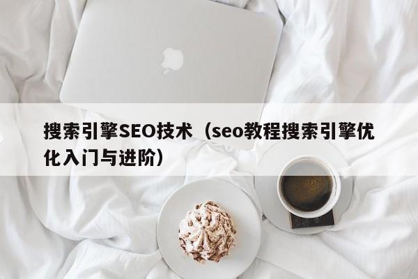 搜索引擎SEO技术（seo教程搜索引擎优化入门与进阶）