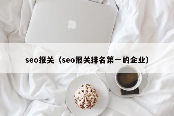 seo报关（seo报关排名第一的企业）