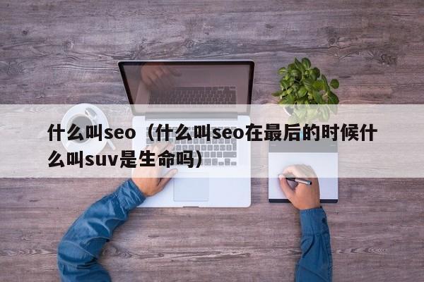 什么叫seo（什么叫seo在最后的时候什么叫suv是生命吗）