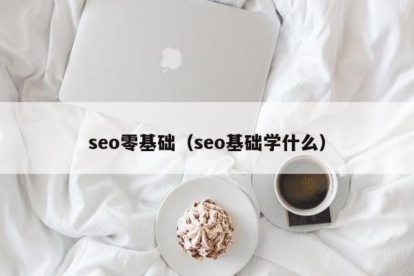 seo零基础（seo基础学什么）