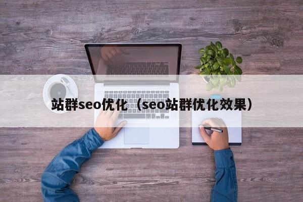 站群seo优化（seo站群优化效果）