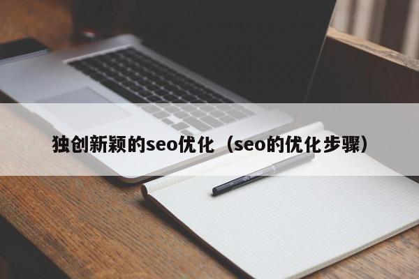 独创新颖的seo优化（seo的优化步骤）