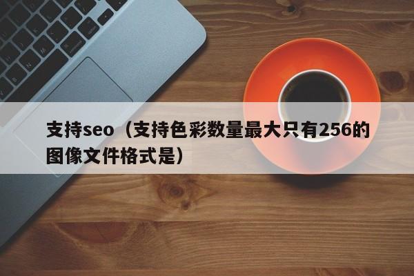 支持seo（支持色彩数量最大只有256的图像文件格式是）