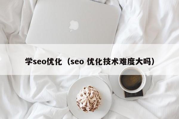 学seo优化（seo 优化技术难度大吗）