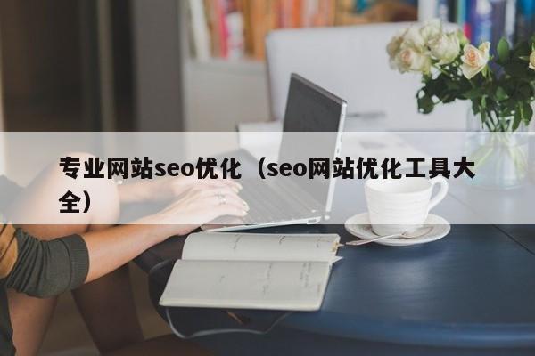 专业网站seo优化（seo网站优化工具大全）