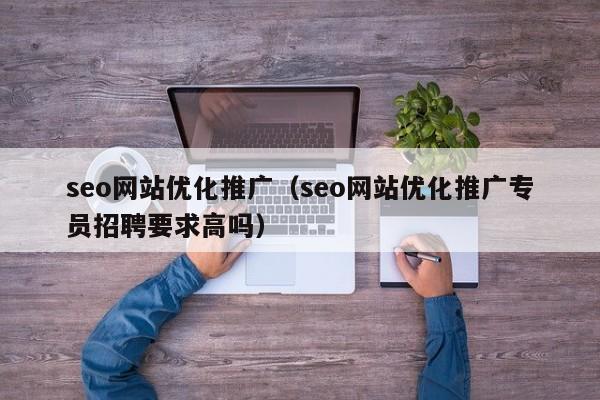 seo网站优化推广（seo网站优化推广专员招聘要求高吗）