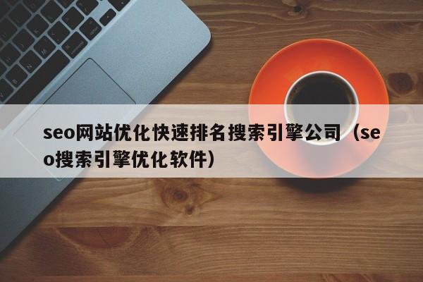 seo网站优化快速排名搜索引擎公司（seo搜索引擎优化软件）