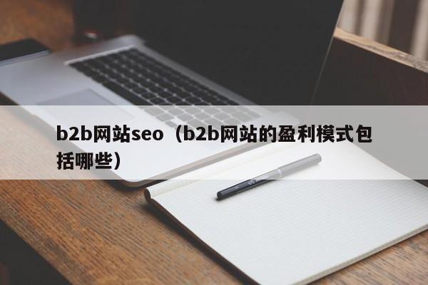 b2b网站seo（b2b网站的盈利模式包括哪些）