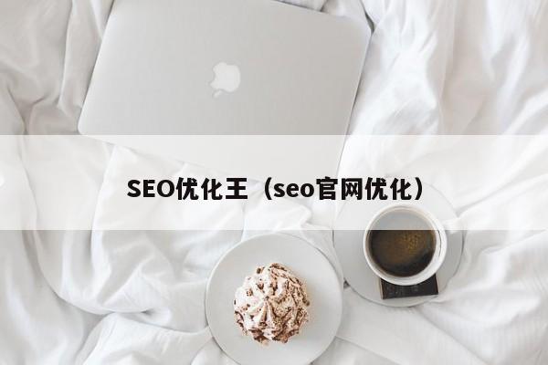 SEO优化王（seo官网优化）