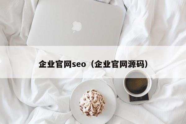 企业官网seo（企业官网源码）