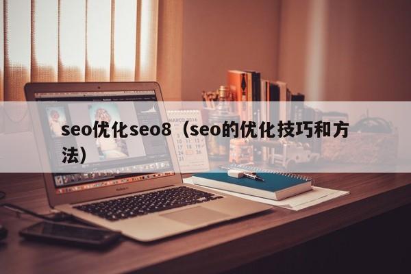 seo优化seo8（seo的优化技巧和方法）