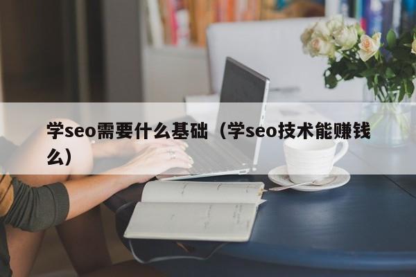 学seo需要什么基础（学seo技术能赚钱么）