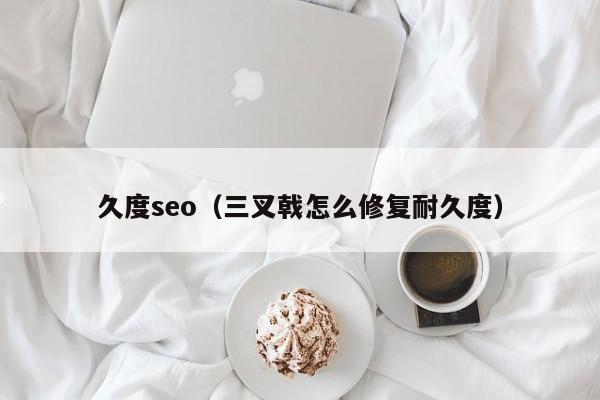 久度seo（三叉戟怎么修复耐久度）