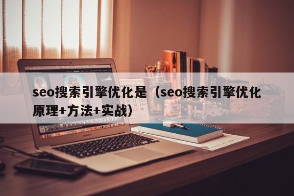 seo搜索引擎优化是（seo搜索引擎优化原理+方法+实战）